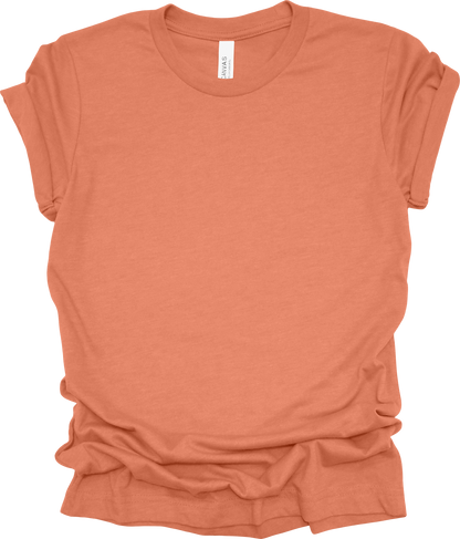 Adult Blank T-Shirt: Bella Canvas CVC Mid Weight Heathers