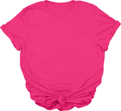 Adult Blank T-Shirt: Gildan Soft Style