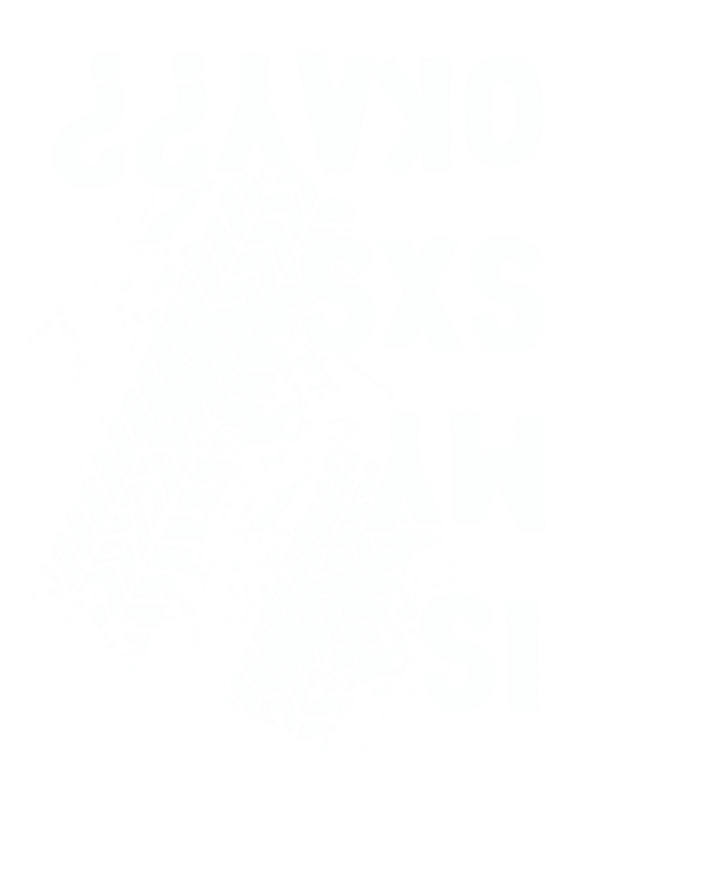 TSR Is My SXS Okay? Decal