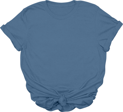 Adult Blank T-Shirt: Gildan Soft Style