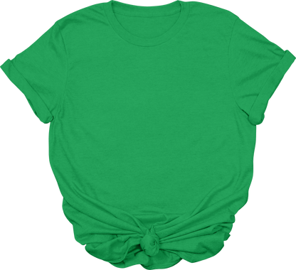 Adult Blank T-Shirt: Gildan Soft Style