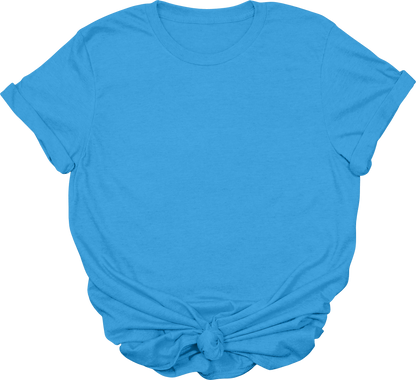 Adult Blank T-Shirt: Gildan Soft Style