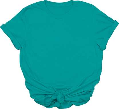 Adult Blank T-Shirt: Gildan Soft Style