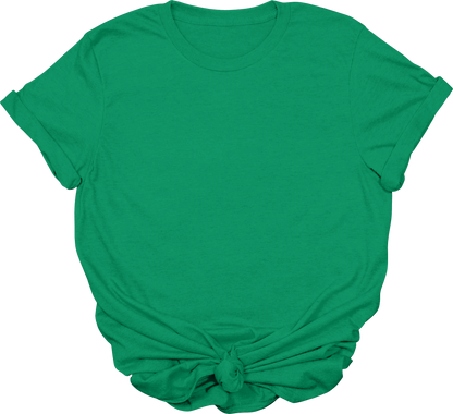 Adult Blank T-Shirt: Gildan Soft Style