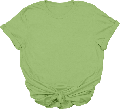 Adult Blank T-Shirt: Gildan Soft Style