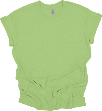 Adult Blank T-Shirt: Gildan Dry Blend