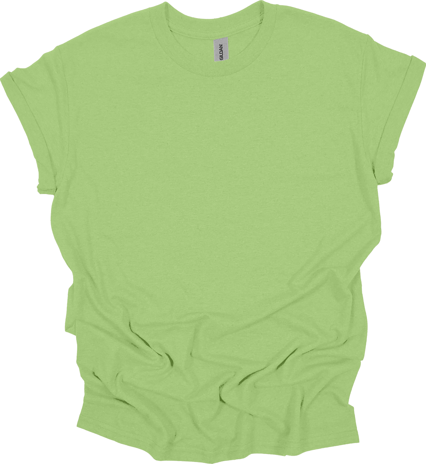 Adult Blank T-Shirt: Gildan Heavy Cotton