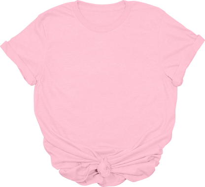 Adult Blank T-Shirt: Gildan Soft Style