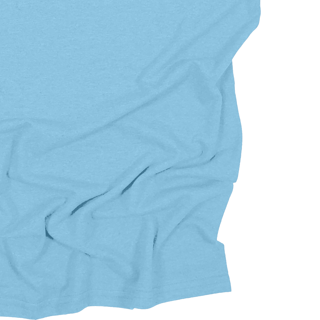 Adult Blank Long Sleeves