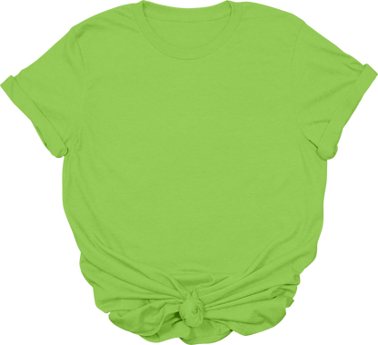 Adult Blank T-Shirt: Gildan Soft Style