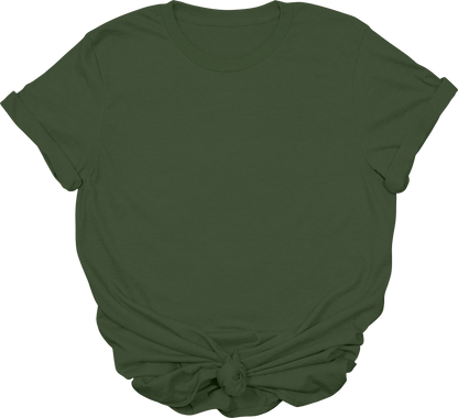 Adult Blank T-Shirt: Gildan Soft Style