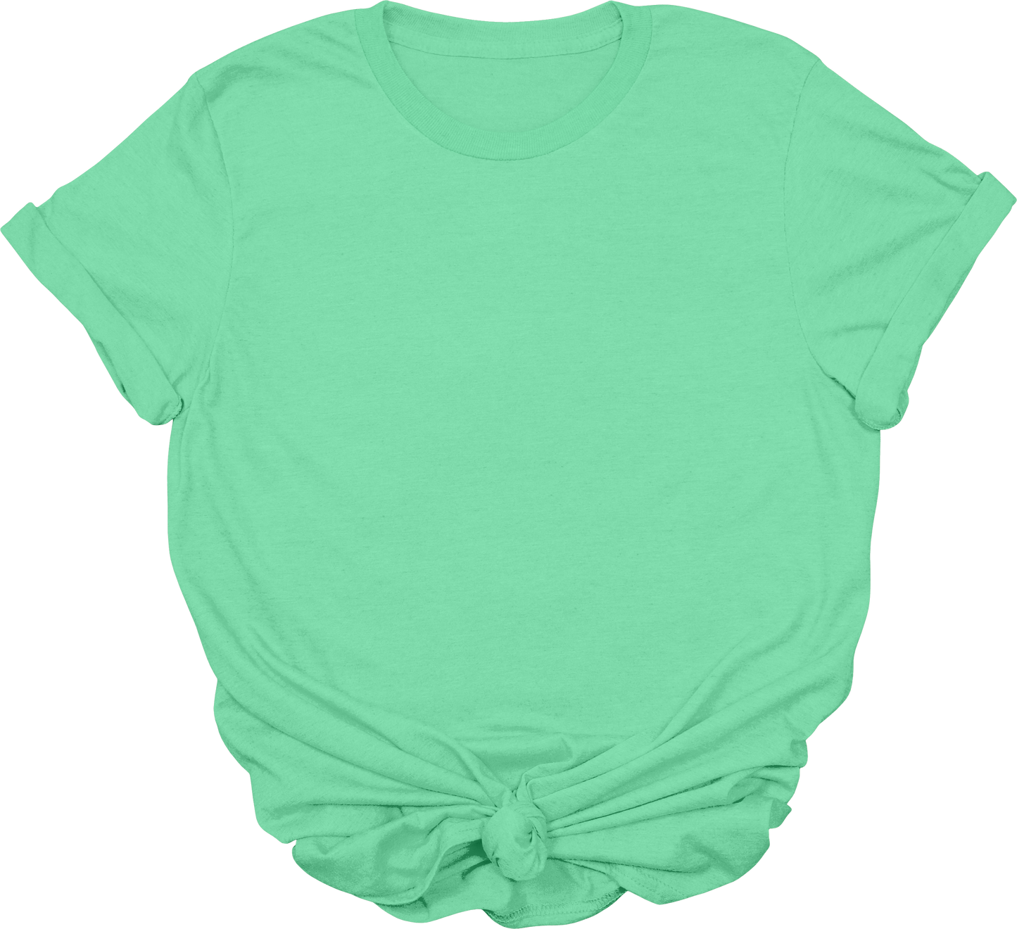 Adult Blank T-Shirt: Gildan Soft Style