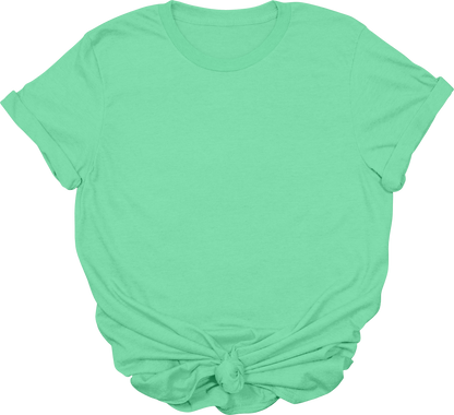 Adult Blank T-Shirt: Gildan Soft Style