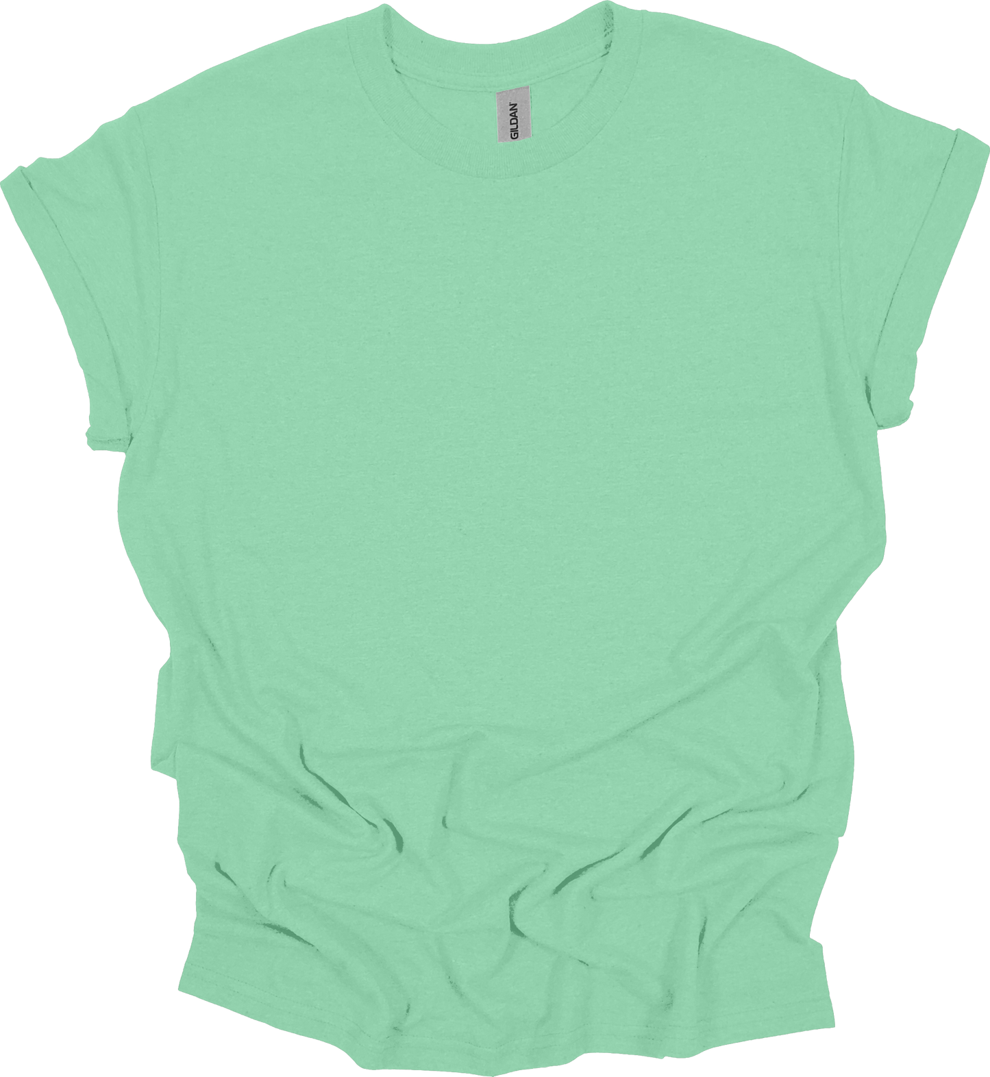 Adult Blank T-Shirt: Gildan Dry Blend