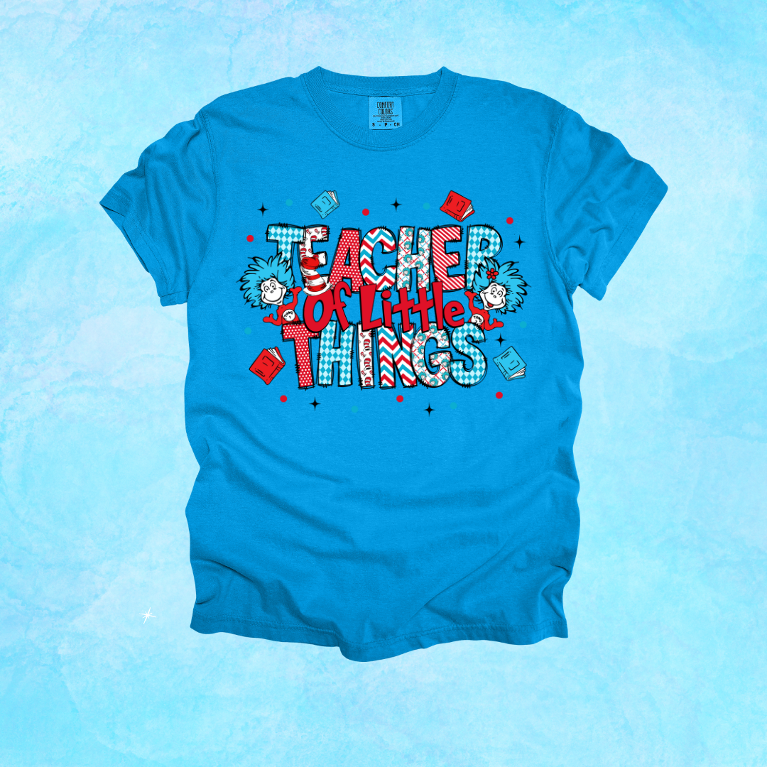 Teacher of Little Things