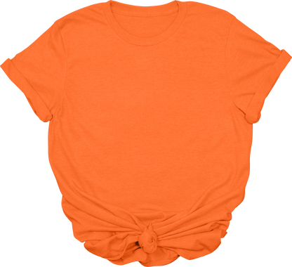 Adult Blank T-Shirt: Gildan Soft Style