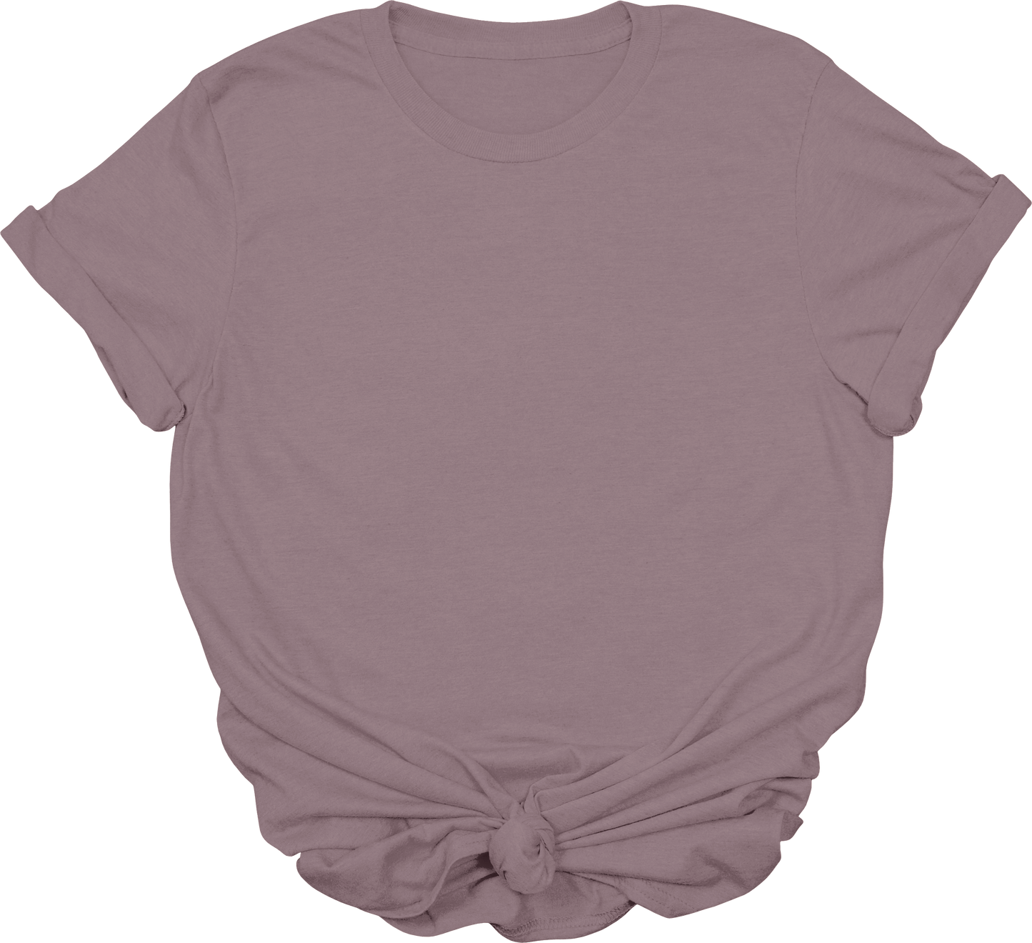 Adult Blank T-Shirt: Gildan Soft Style