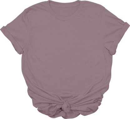 Adult Blank T-Shirt: Gildan Soft Style