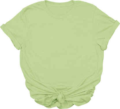 Adult Blank T-Shirt: Gildan Soft Style