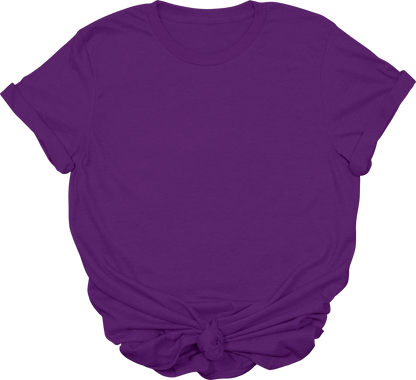 Adult Blank T-Shirt: Gildan Soft Style