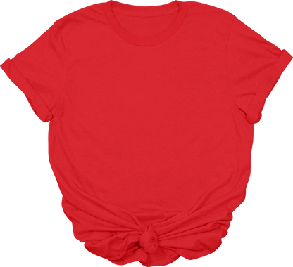 Adult Blank T-Shirt: Gildan Soft Style