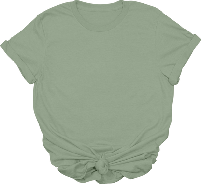 Adult Blank T-Shirt: Gildan Soft Style