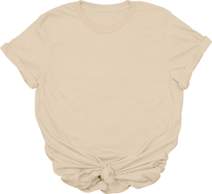 Adult Blank T-Shirt: Gildan Soft Style