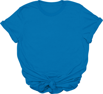 Adult Blank T-Shirt: Gildan Soft Style