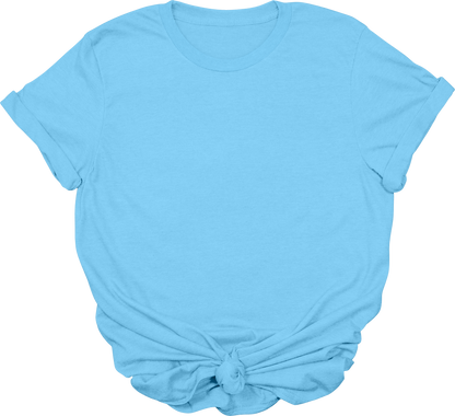 Adult Blank T-Shirt: Gildan Soft Style