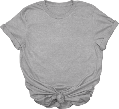 Adult Blank T-Shirt: Gildan Soft Style