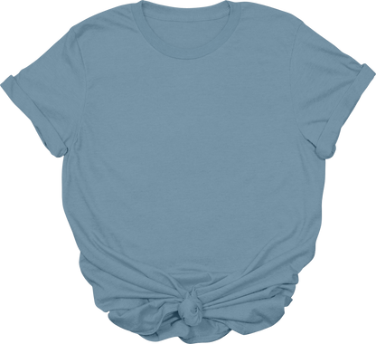 Adult Blank T-Shirt: Gildan Soft Style