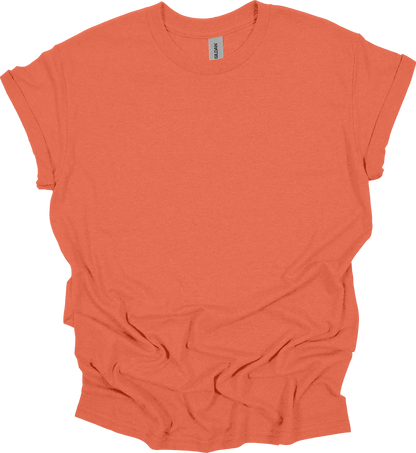 Adult Blank T-Shirt: Gildan Dry Blend