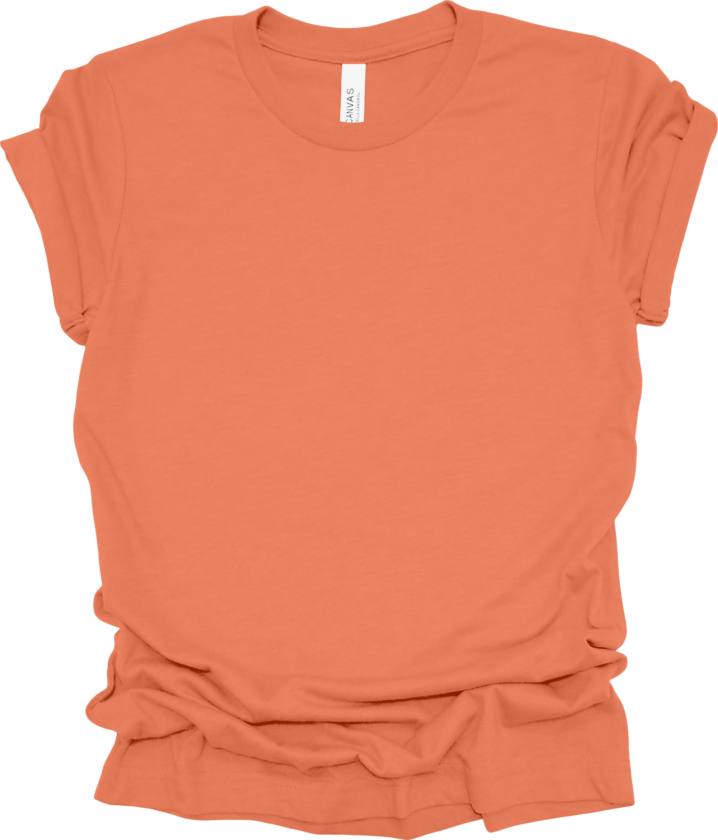 Adult Blank T-Shirt: Bella Canvas Jersey