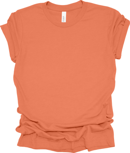 Adult Blank T-Shirt: Bella Canvas Jersey