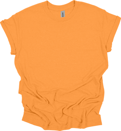 Adult Blank T-Shirt: Gildan Heavy Cotton