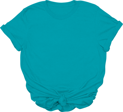 Adult Blank T-Shirt: Gildan Soft Style