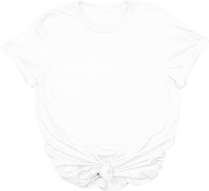 Adult Blank T-Shirt: Gildan Soft Style